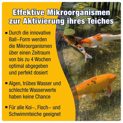 AQUALITY AQUABALLS Frühling & Sommer POND Mikroorganismen für den Gartenteich
