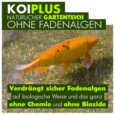 primuspet KOIPLUS Natürlicher Teich ohne Fadenalgen