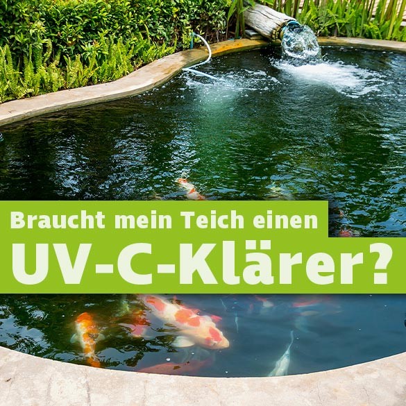 UV-C-Klärer Gartenteich