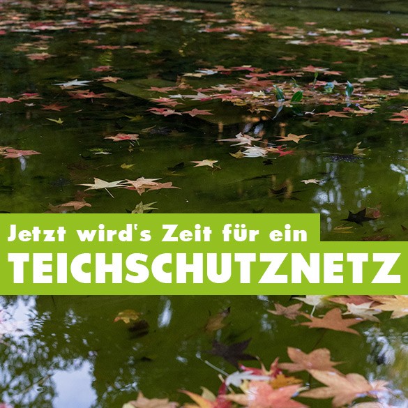 Teichschutznetz für den Gartenteich