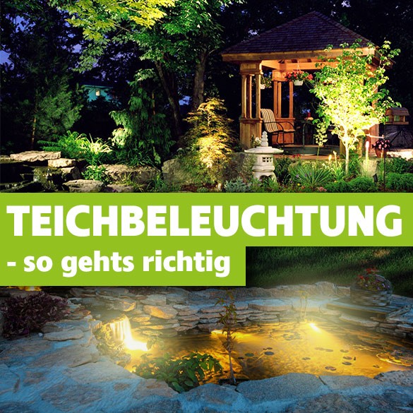Teichbeleuchtung