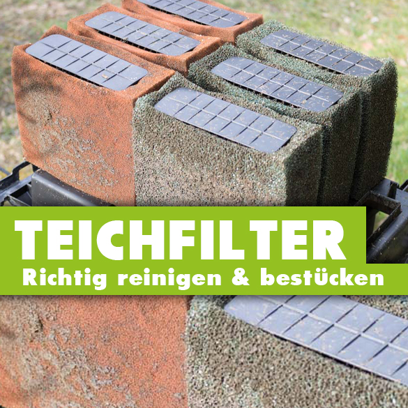 Teichfilter Reinigung