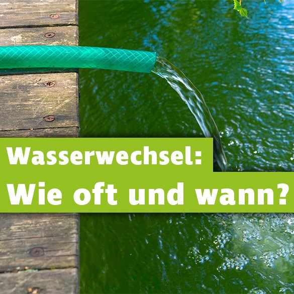 Wasserwechsel Gartenteich