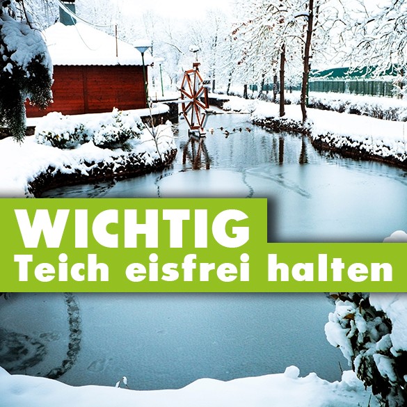 Teich eisfrei halten