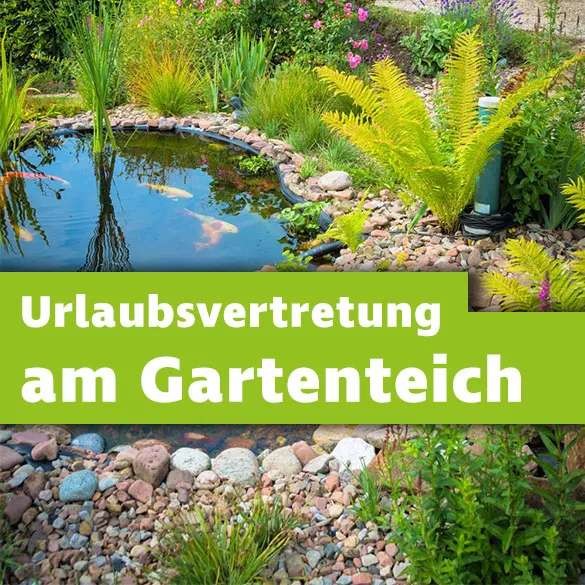 Gartenteich und Urlaub
