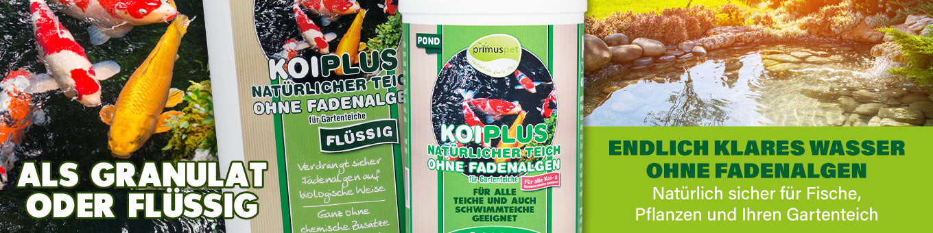 Natuerlicher-Fadenalgenvernichter
