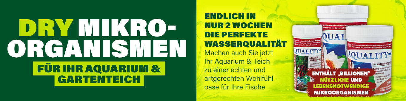 DRY-Mikroorganismen