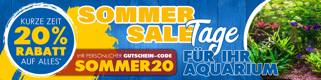 Aquarium > SALE-Woche > 20%