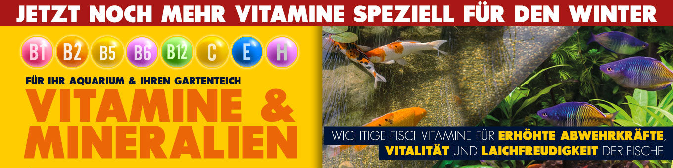 Vitamine-Mineralien