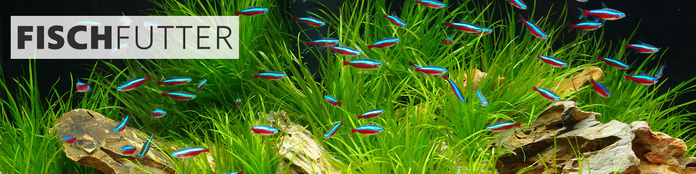 Fischfutter