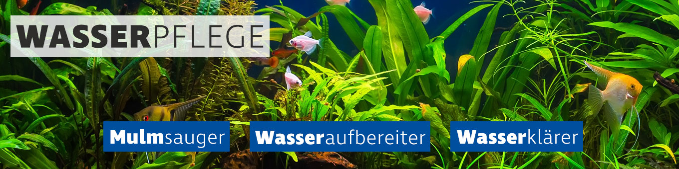 Wasserpflege