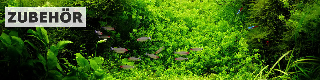 Zubehör