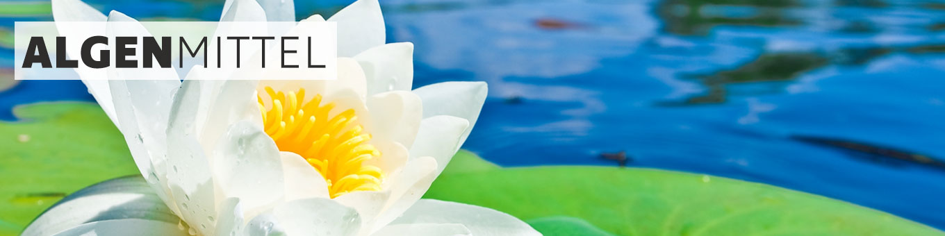 Algenmittel