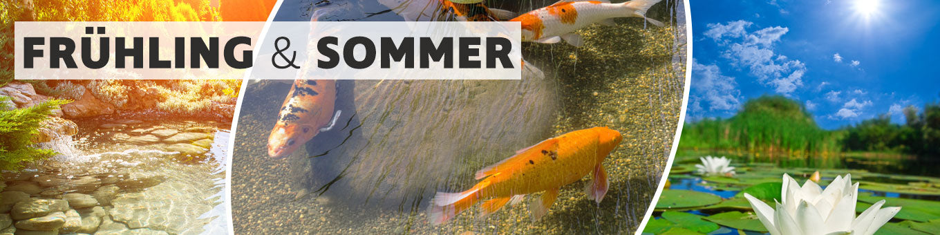 Frühling & Sommer