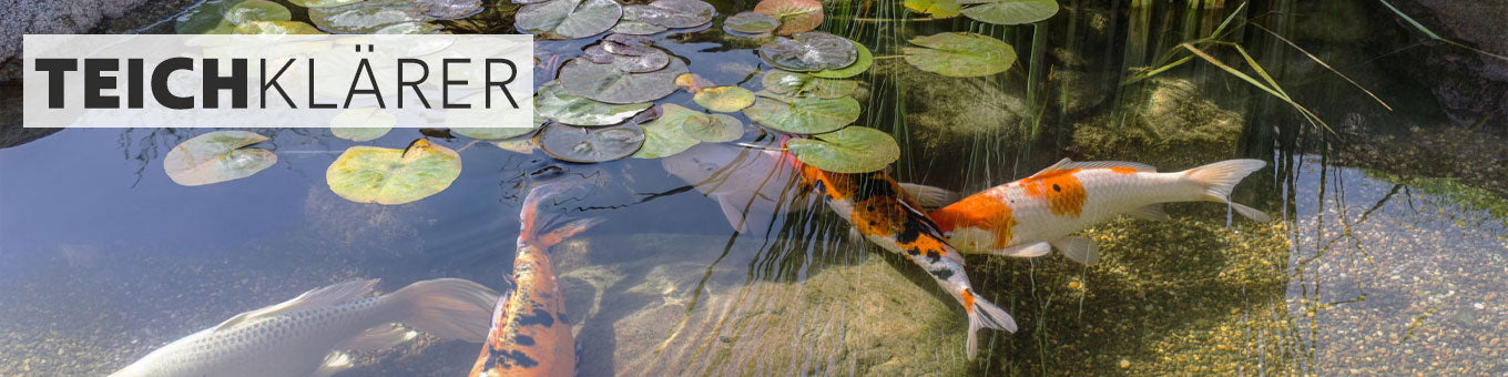 Teichklärer