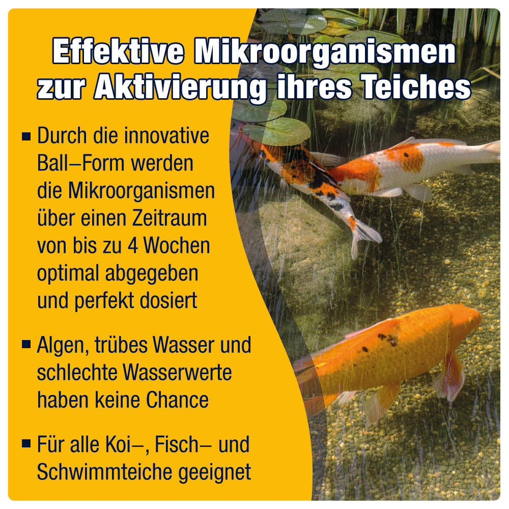 AQUALITY AQUABALLS Frühling & Sommer POND Mikroorganismen für den Gartenteich