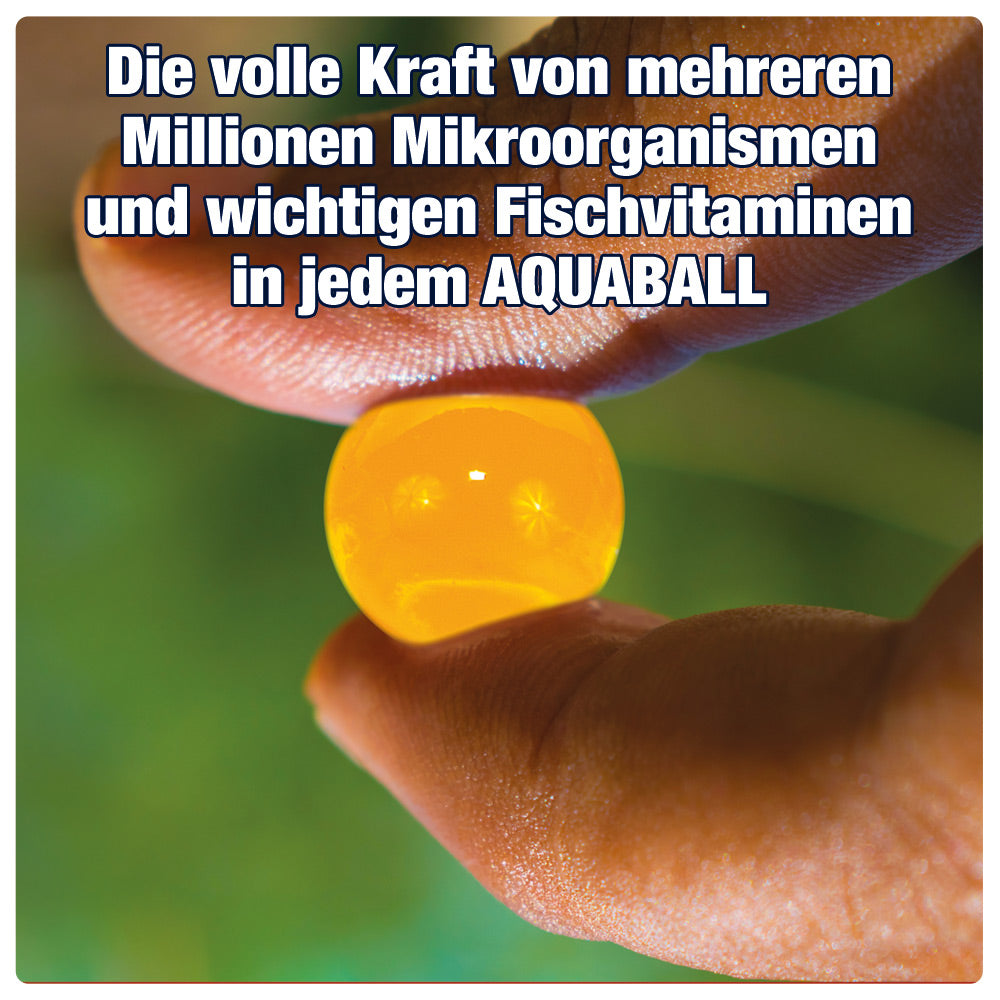 AQUALITY AQUABALLS Frühling & Sommer POND Mikroorganismen für den Gartenteich