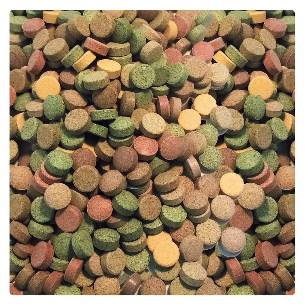 AQUALITY Aquarium PREMIUM Futtertabletten-MIX "20 Sorten"