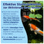 AQUALITY AQUABALLS POND Starterbakterien Mikroorganismen