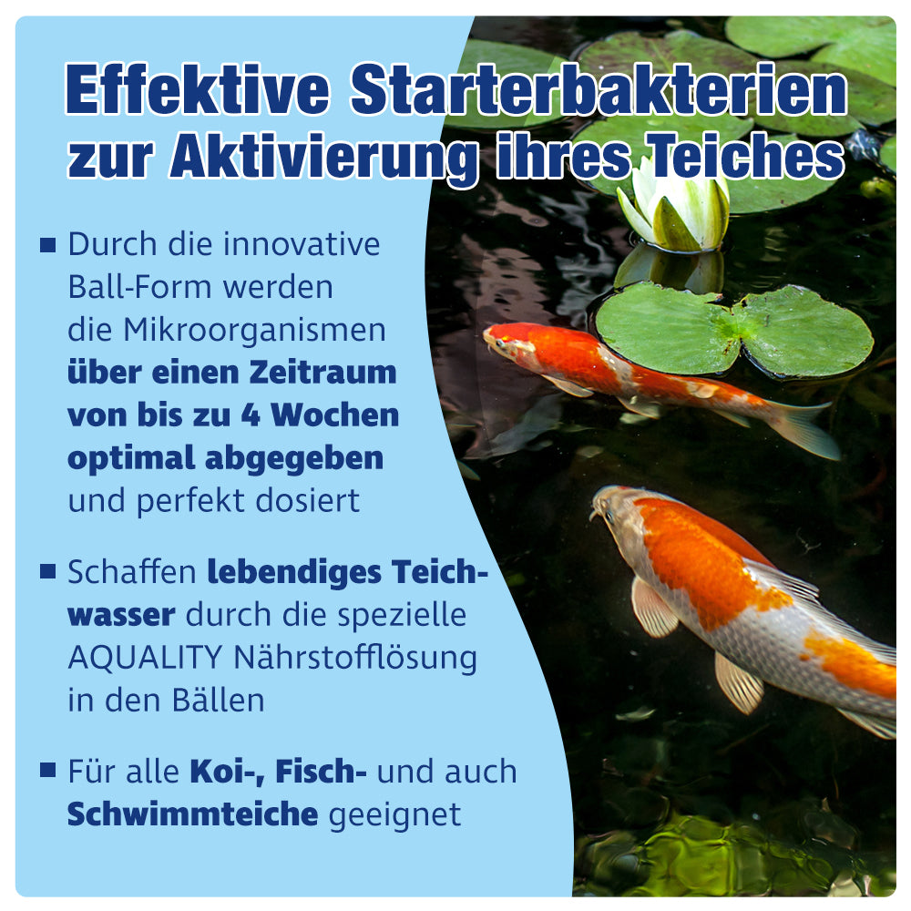 AQUALITY AQUABALLS POND Starterbakterien Mikroorganismen