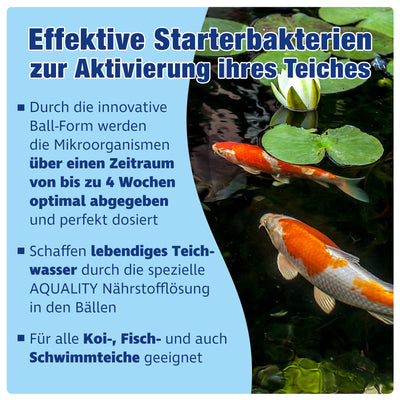 AQUALITY AQUABALLS POND Starterbakterien Mikroorganismen