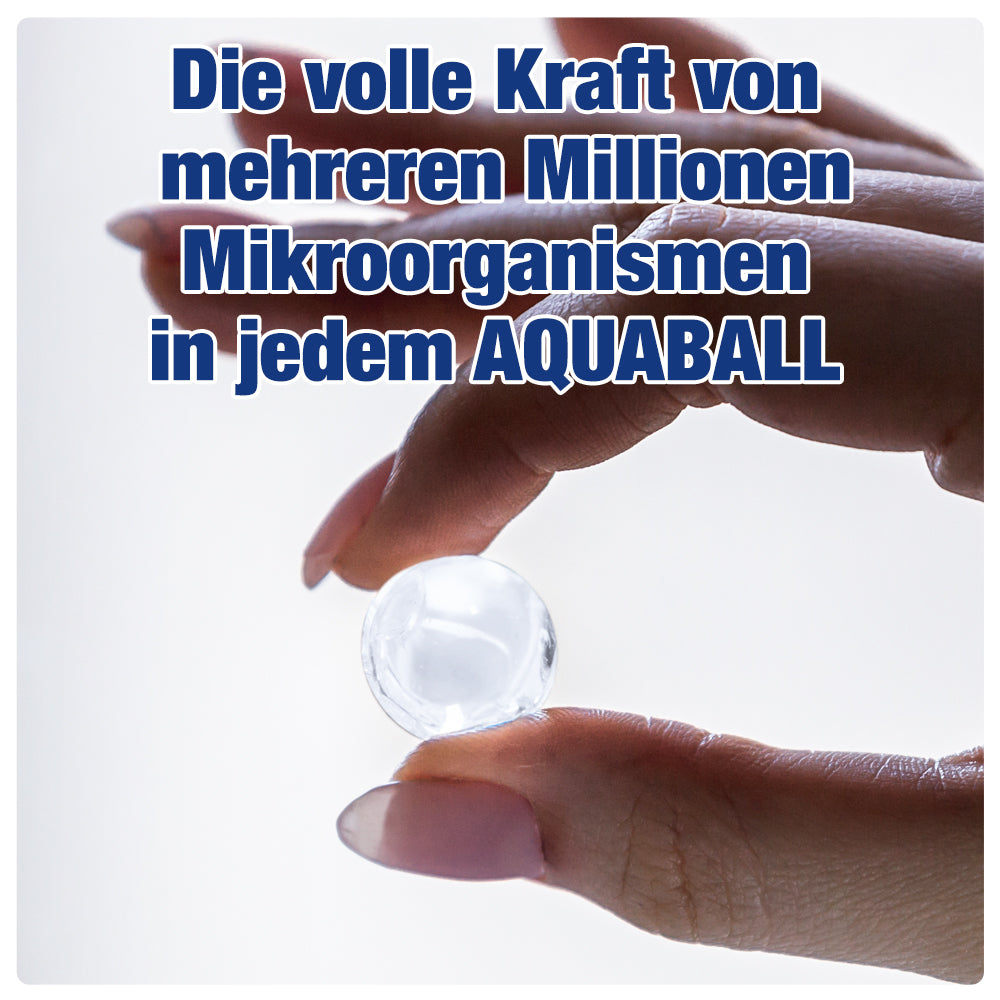 AQUALITY AQUABALLS POND Starterbakterien Mikroorganismen