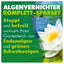 AQUALITY Algenvernichter Komplett-Sparset Gartenteich (Entfernt und vernichtet Fadenalgen, Schwebealgen, Grünalgen und befreit den Teich von grünem Wasser dauerhaft)