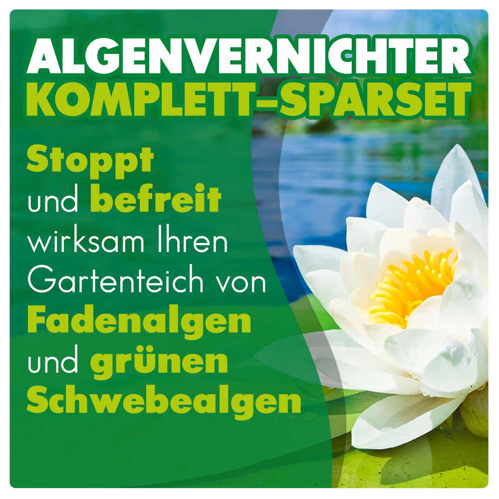 AQUALITY Algenvernichter Komplett-Sparset Gartenteich (Entfernt und vernichtet Fadenalgen, Schwebealgen, Grünalgen und befreit den Teich von grünem Wasser dauerhaft)