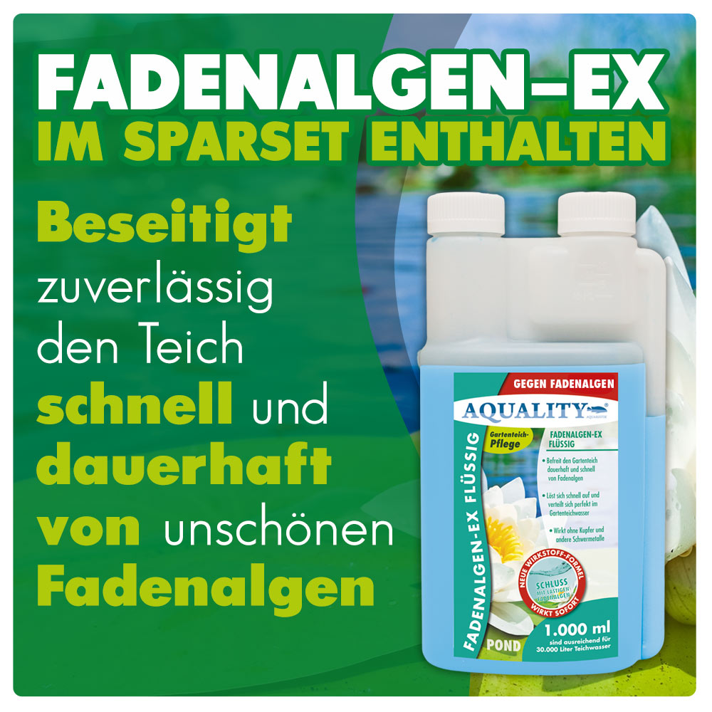 AQUALITY Algenvernichter Komplett-Sparset Gartenteich (Entfernt und vernichtet Fadenalgen, Schwebealgen, Grünalgen und befreit den Teich von grünem Wasser dauerhaft)