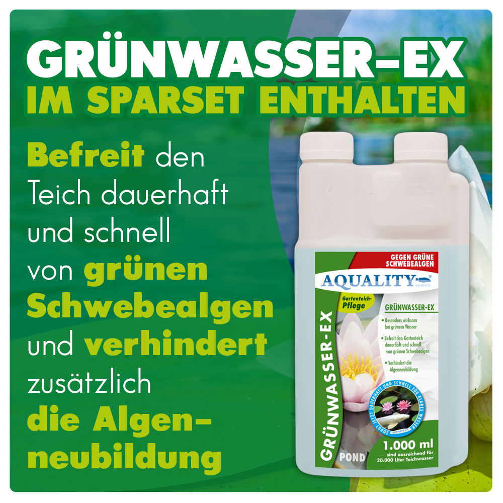 AQUALITY Algenvernichter Komplett-Sparset Gartenteich (Entfernt und vernichtet Fadenalgen, Schwebealgen, Grünalgen und befreit den Teich von grünem Wasser dauerhaft)