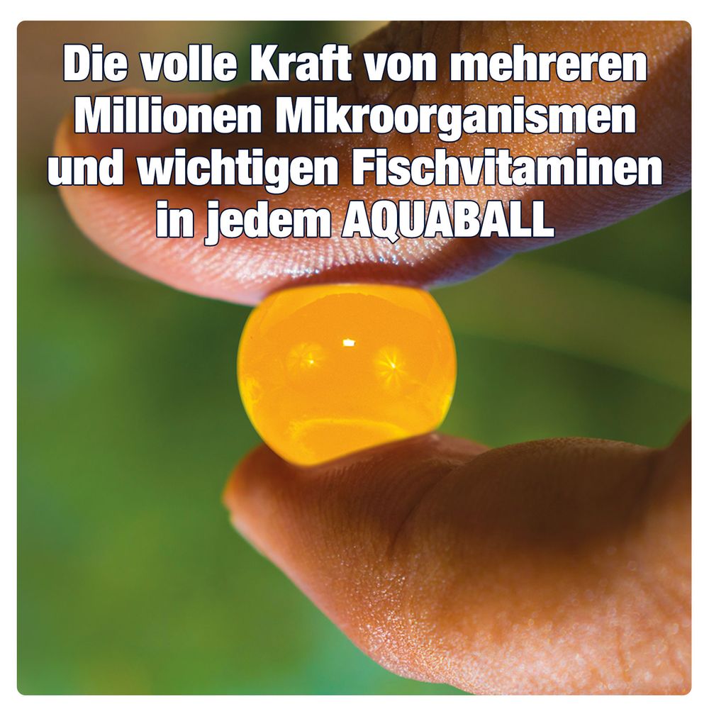 AQUALITY AQUABALLS Herbst- & Winter POND für den Gartenteich