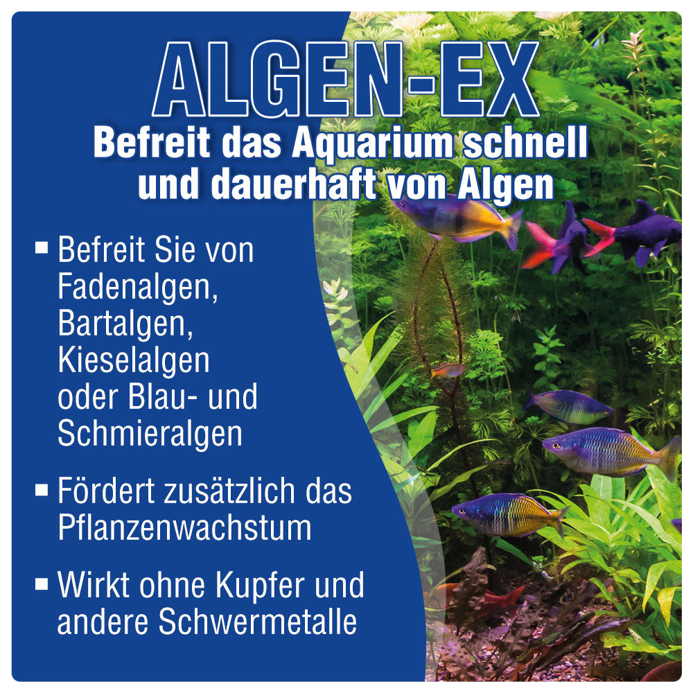 AQUALITY 3er Starter- & Pflege-Sparset - Algen-EX - Filtermedium- Wasseraufbereiter