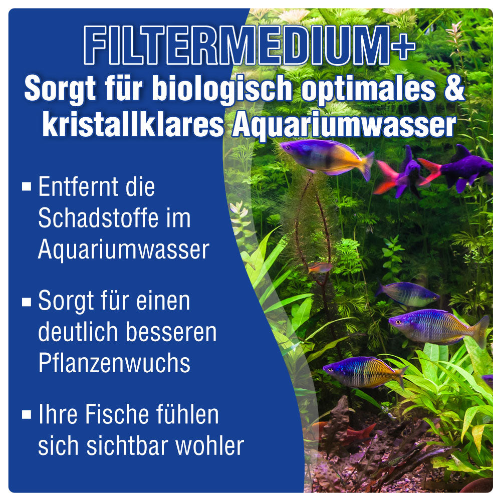 AQUALITY 3er Starter- & Pflege-Sparset - Algen-EX - Filtermedium- Wasseraufbereiter