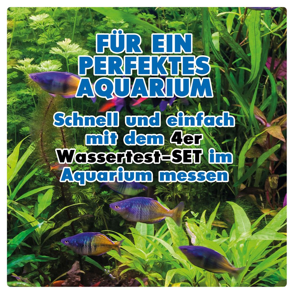 AQUALITY AQUARIUM 4er Wassertest-Set (pH, GH, KH, NO2)