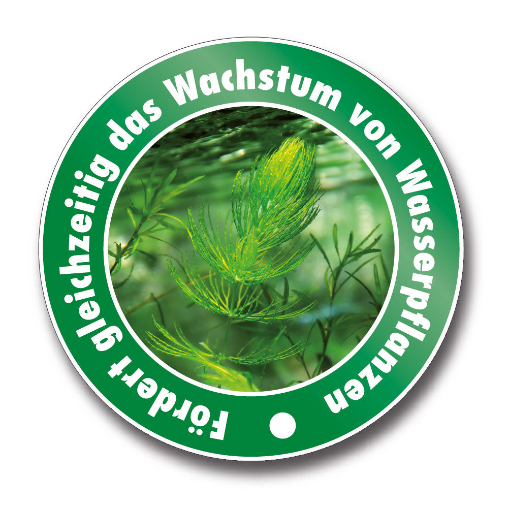 AQUALITY Algen-EX für Ihr Aquarium