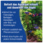 AQUALITY Algen-EX für Ihr Aquarium