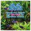 AQUALITY AQUARIUM NO2-Wassertest (Nitritgehalt)