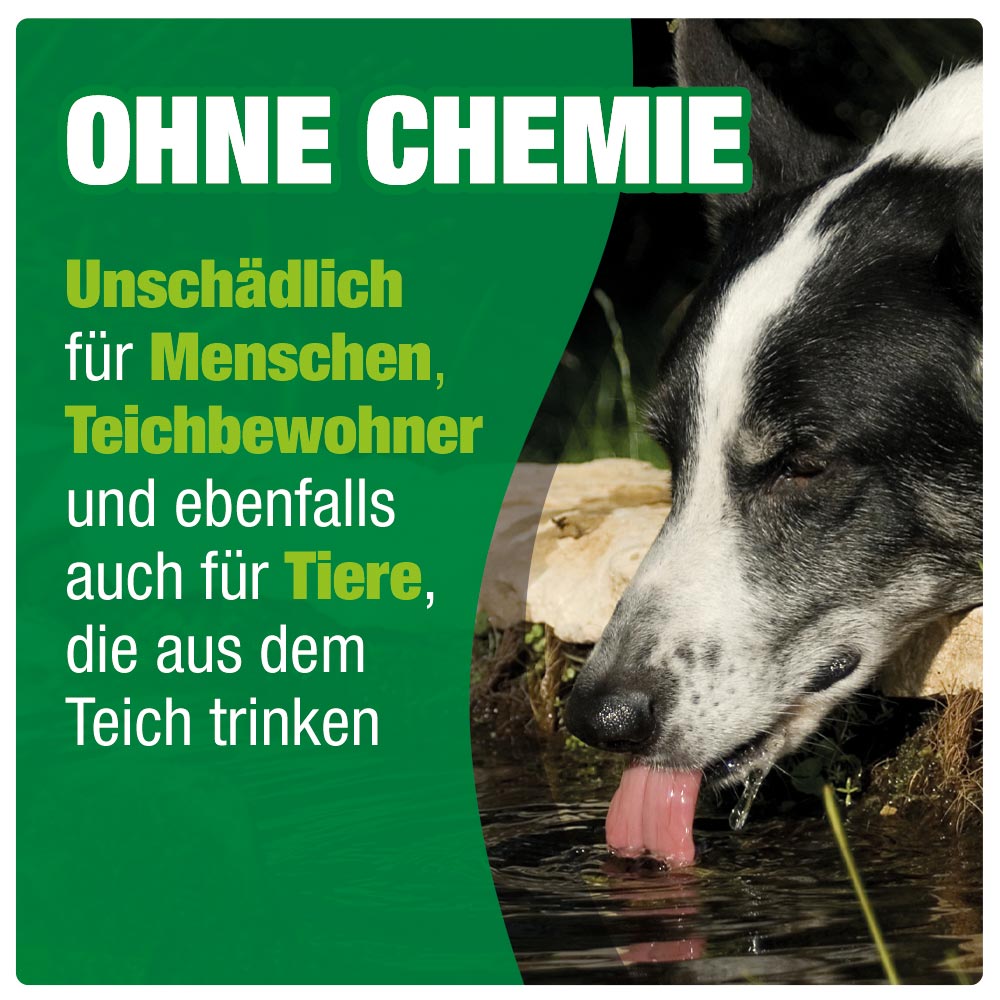 AQUALITY BIO-TeichKlärer 3in1 für Ihren Gartenteich