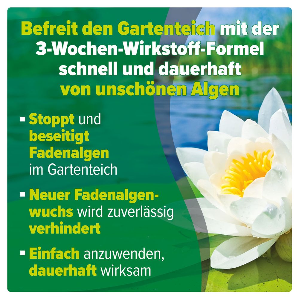 AQUALITY Fadenalgen-EX Flüssig POND für den Gartenteich