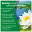 AQUALITY Gartenteich Fadenalgen-MINUS 3in1