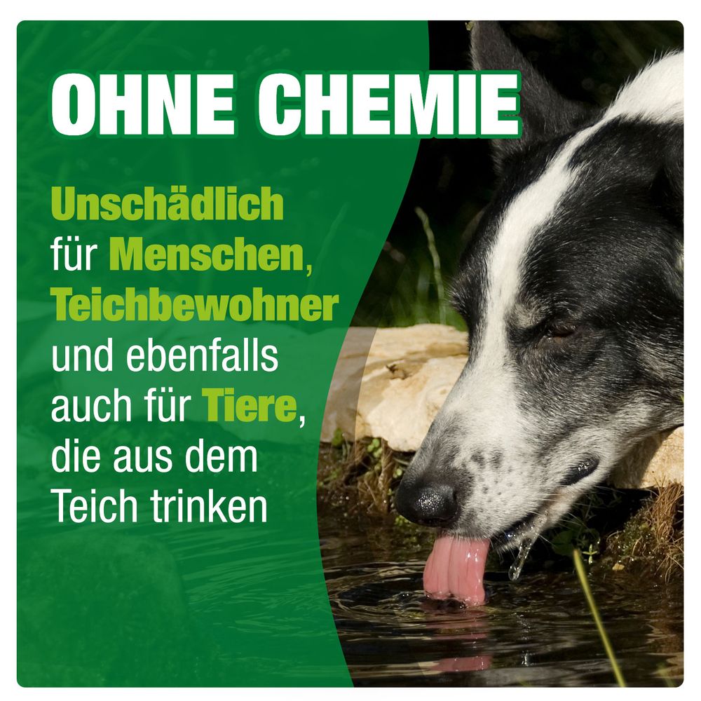 AQUALITY Gartenteich Regenwasser-Schutz