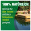 AQUALITY Gartenteich Herbst & Winter Komplett SPAR-SET