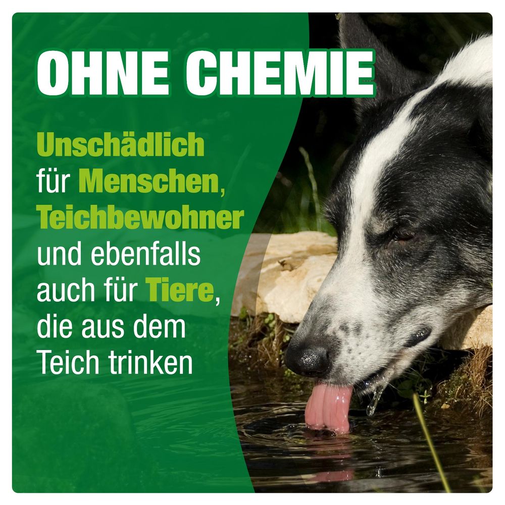 AQUALITY Teich-Aktiv 3in1 jetzt für Ihren Gartenteich
