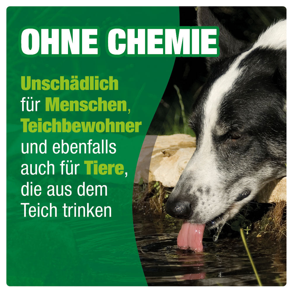 AQUALITY Vitamine & Mineralien POND für Ihren Gartenteich