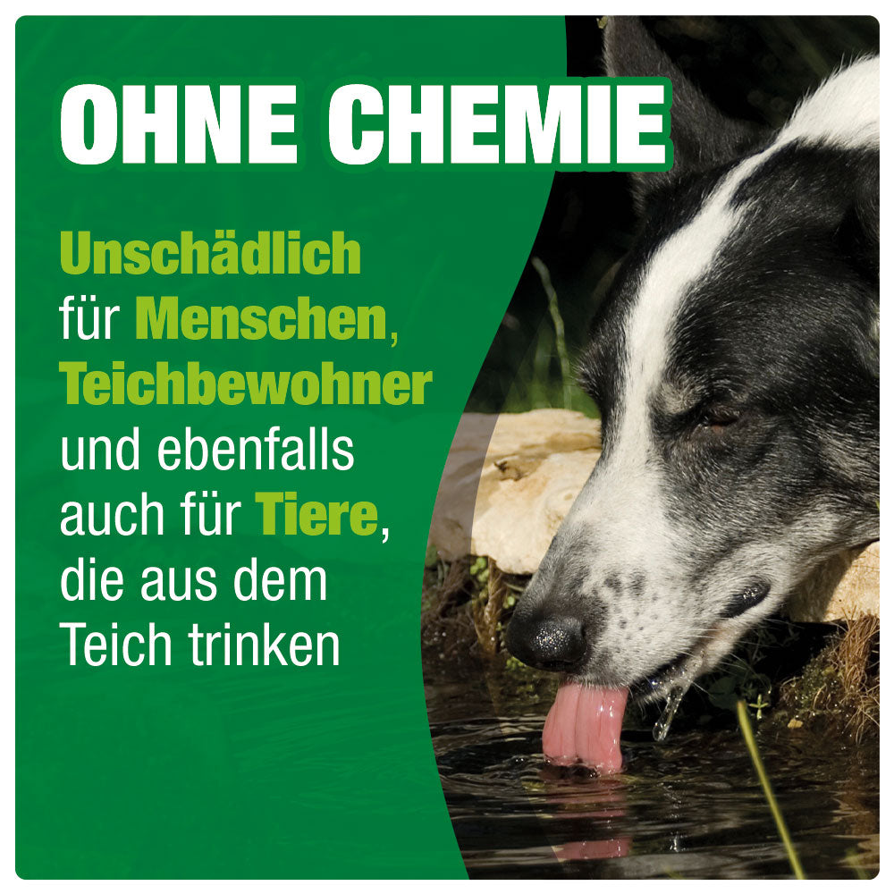 AQUALITY Gartenteich 3in1 Wasseraufbereiter