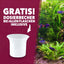 AQUASAN AQUARIUM Algenfrei PLUS