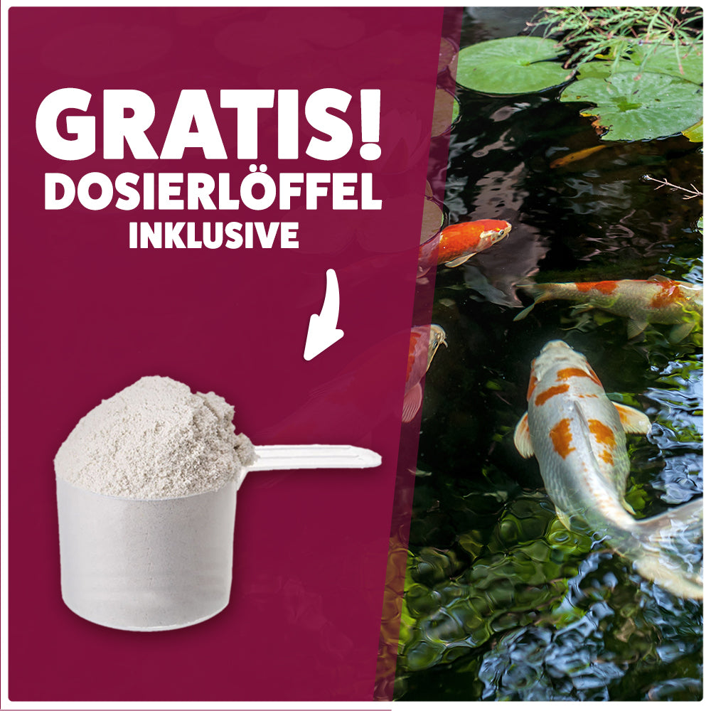 AQUASAN POND FADENALGEN-FREI PLUS für den Gartenteich