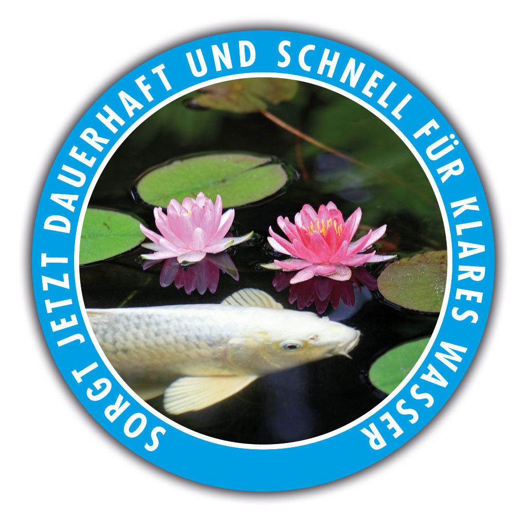 AQUALITY Grünwasser-EX POND für den Gartenteich