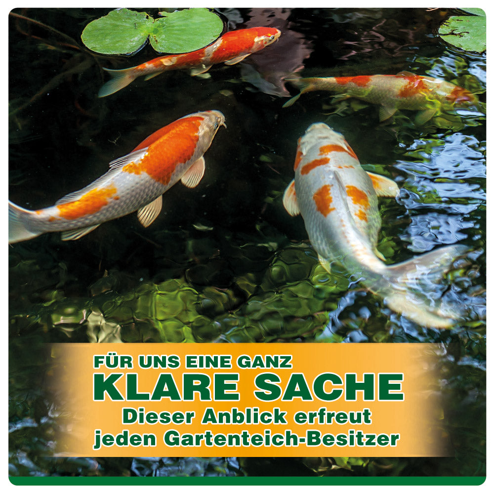 ZOOFUX Profi Gartenteich Fadenalgenvernichter EXTRA