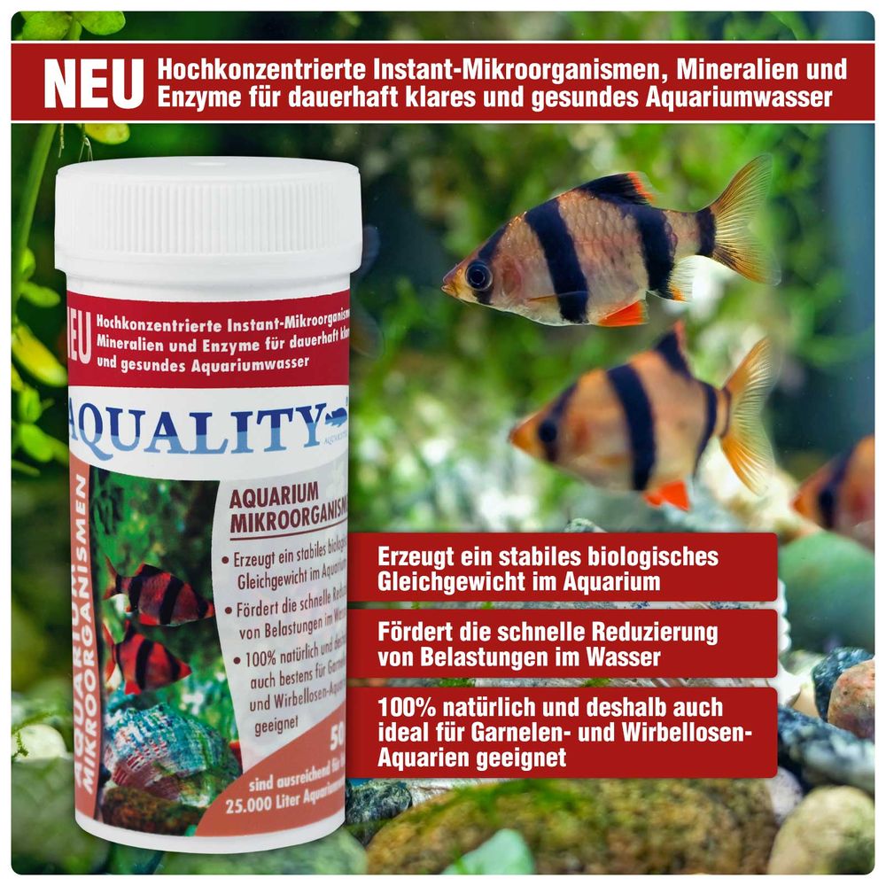 AQUALITY Aquarium Mikroorganismen